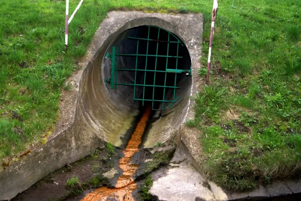 5 razões pelas quais todos precisam de água potável